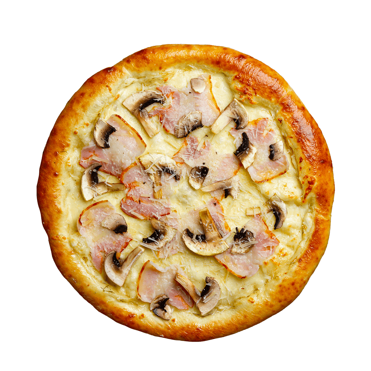 Студенческая 24 см